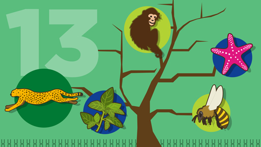 ​15 for 15: The Natural World | NHGRI