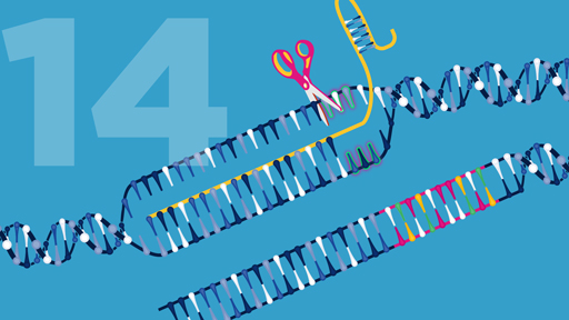 15 for 15: Genome Editing | NHGRI