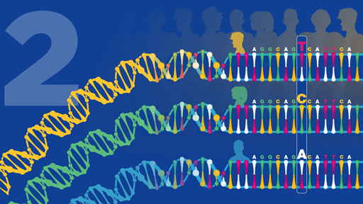 ​15换15：人类基因组变异| NHGRI