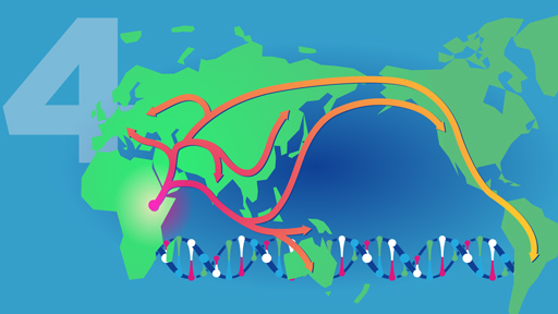 ​15 for 15: Human Origins and Ancestry | NHGRI