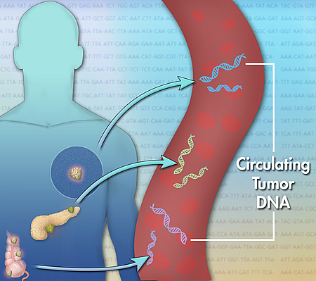 Circulating tumor DNA in the human vein