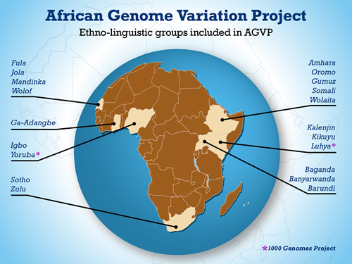 The African Genome Variation Project has involved an international collaboration to map the genomic variation landscape of African populations, including a wide array of ethno-linguistic groups.