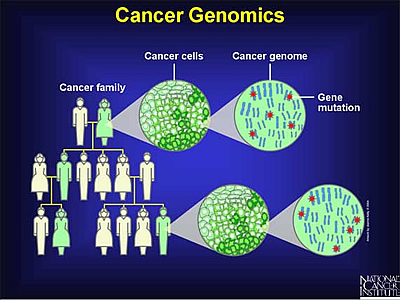 Cancer Genomics illustrated with people and genomes. Courtesy of National Cancer Institute