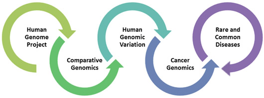 Human Genome Project, Comparative Genomics, Human Genomic Variation, Cancer Genomics, Rare and Common Diseases