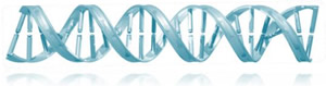 DNA double-helix