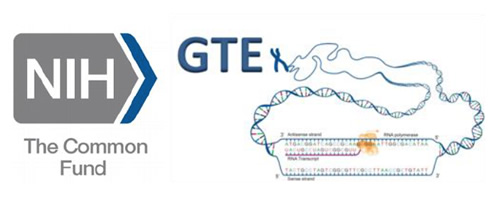 NIH Common Fund and GTEx