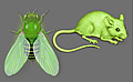Transgenic fly and mouse