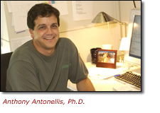 Anthony Antonellis, Ph.D.