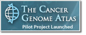 Logo image for The Cancer Genome Atlas
