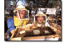 Honey Bee Farmers