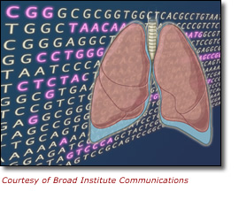 Image of ACTGs and illustration of the lungs. Courtesy of Broad Institute Communications