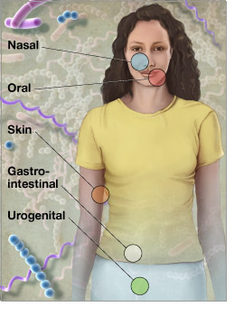 Illustration of a woman with markers indicating nasal, oral, skin, gastrointestinal and urogenital H M B project areas