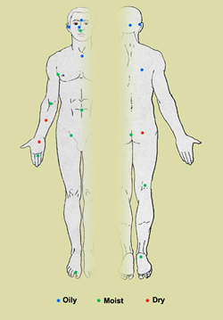 This illustration depicts 20 sites on the human body targeted for analysis of microbial genome sequencing
