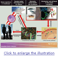 Click to enlarge an illustration about the transforming toxicology