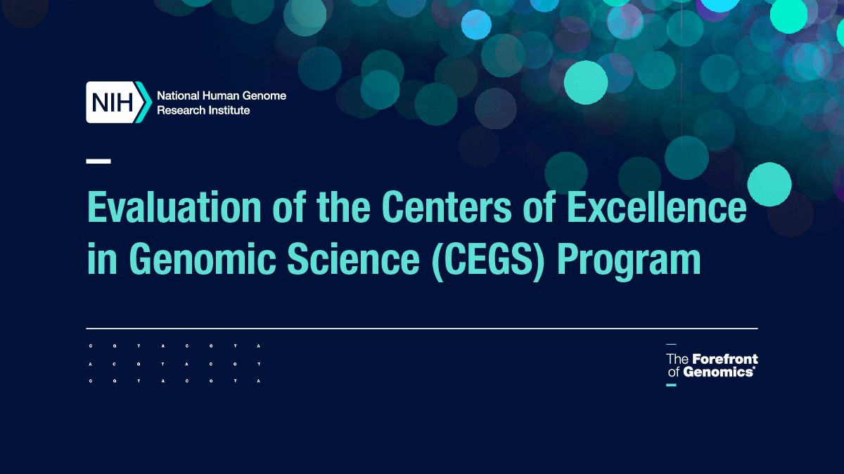 CEGS Program Evaluation Report Cover