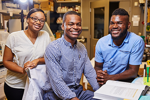 Brenda Iriele, Brandon Davis (center) and Bernard Ndedi spent their summer working on building out The Atlas of Human Malformation Syndromes in Diverse Populations as part of the NIH Summer Internship Program in Biomedical Sciences. Image Credit: Ernesto del Aguila III, NHGRI.