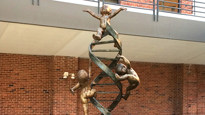 The Ladders DNA statue