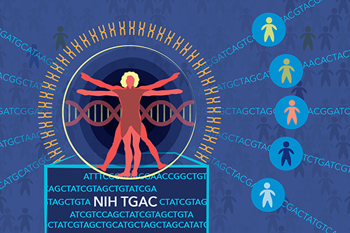 The Genomic Ascertainment Cohort (TGAC) offers a paradigm-shifting approach to studying the phenotypic consequence of human genetic variation. Image Credit: Darryl Leja, NHGRI.