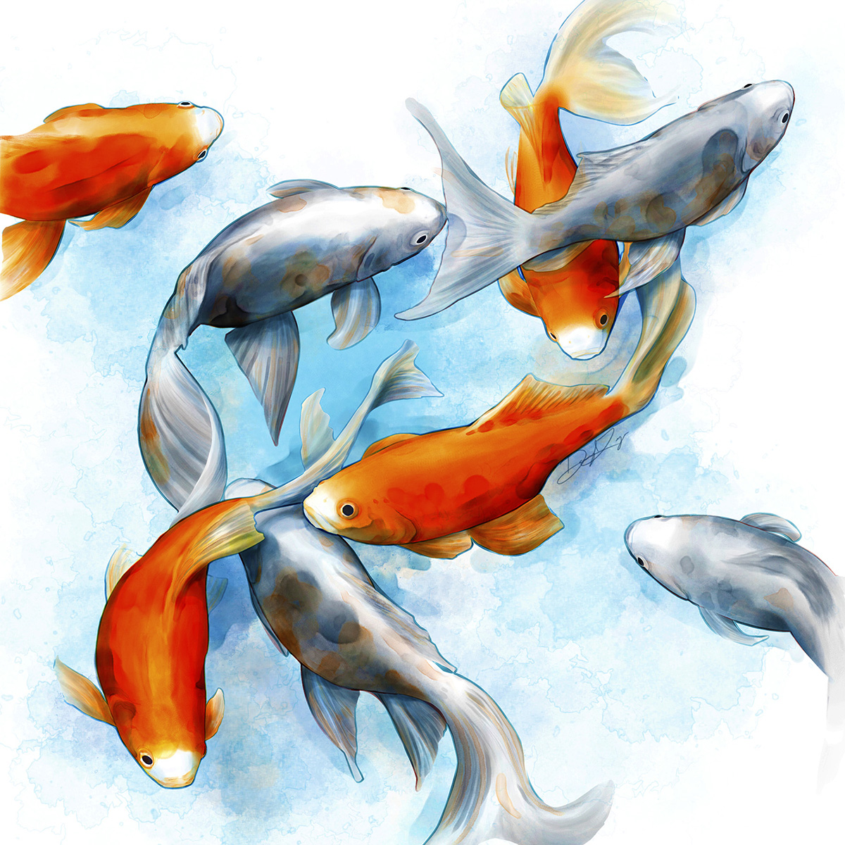 Goldfish in the formation of a double-helix