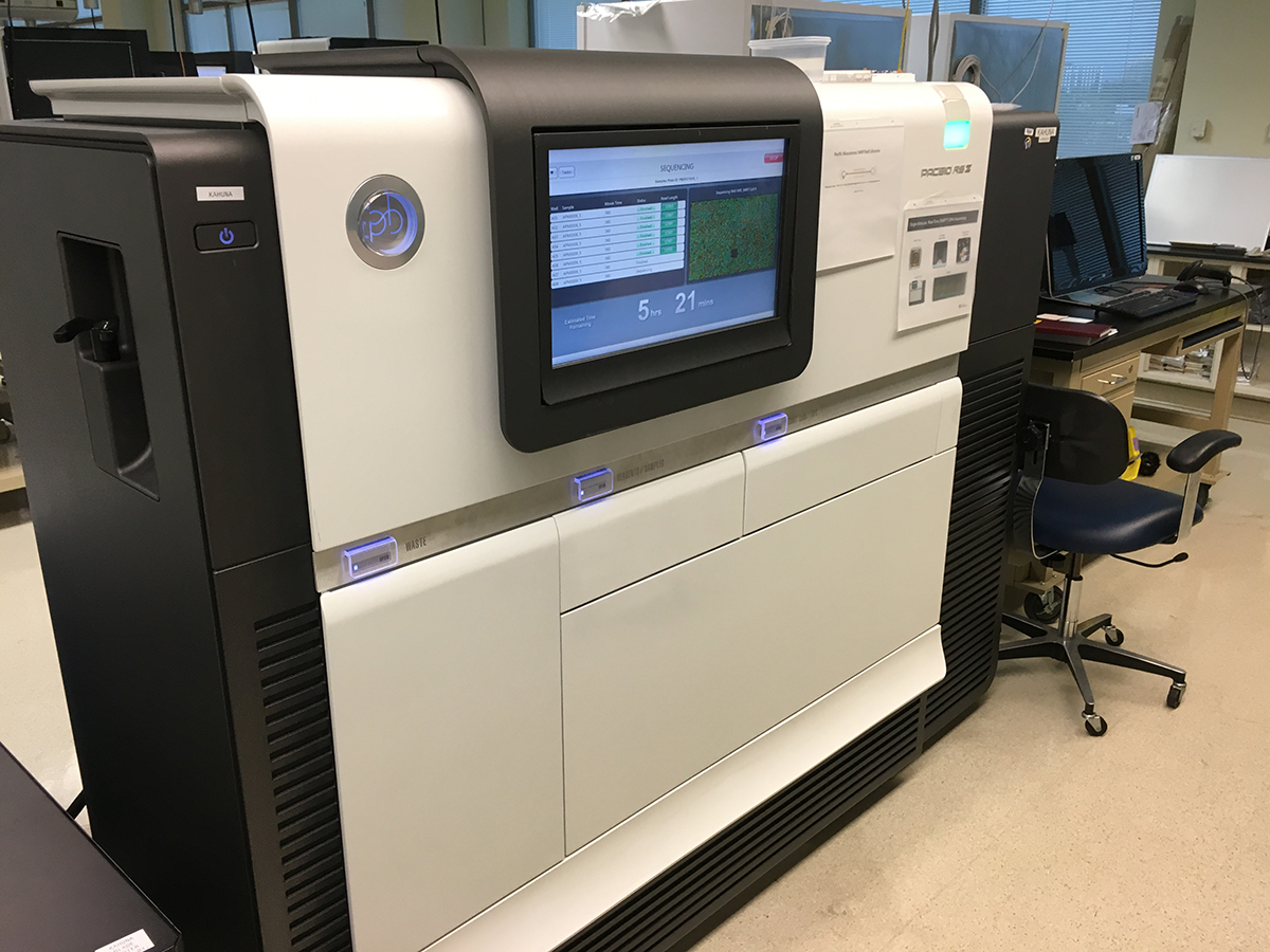 PacBio RS II Sequencer
