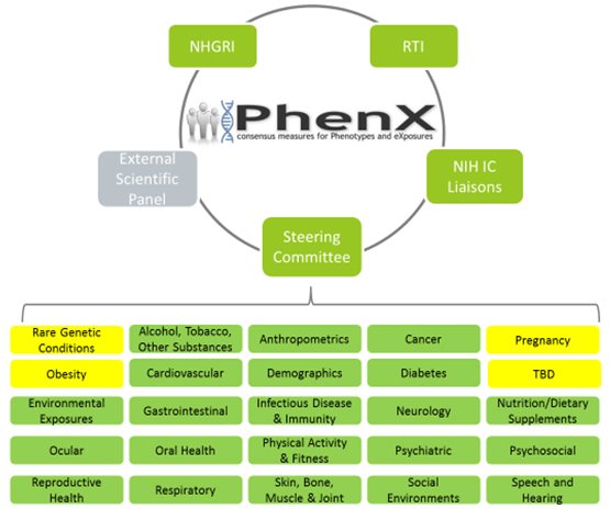 Phenx Organization Graphic