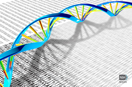 Sequence data and a DNA double helix