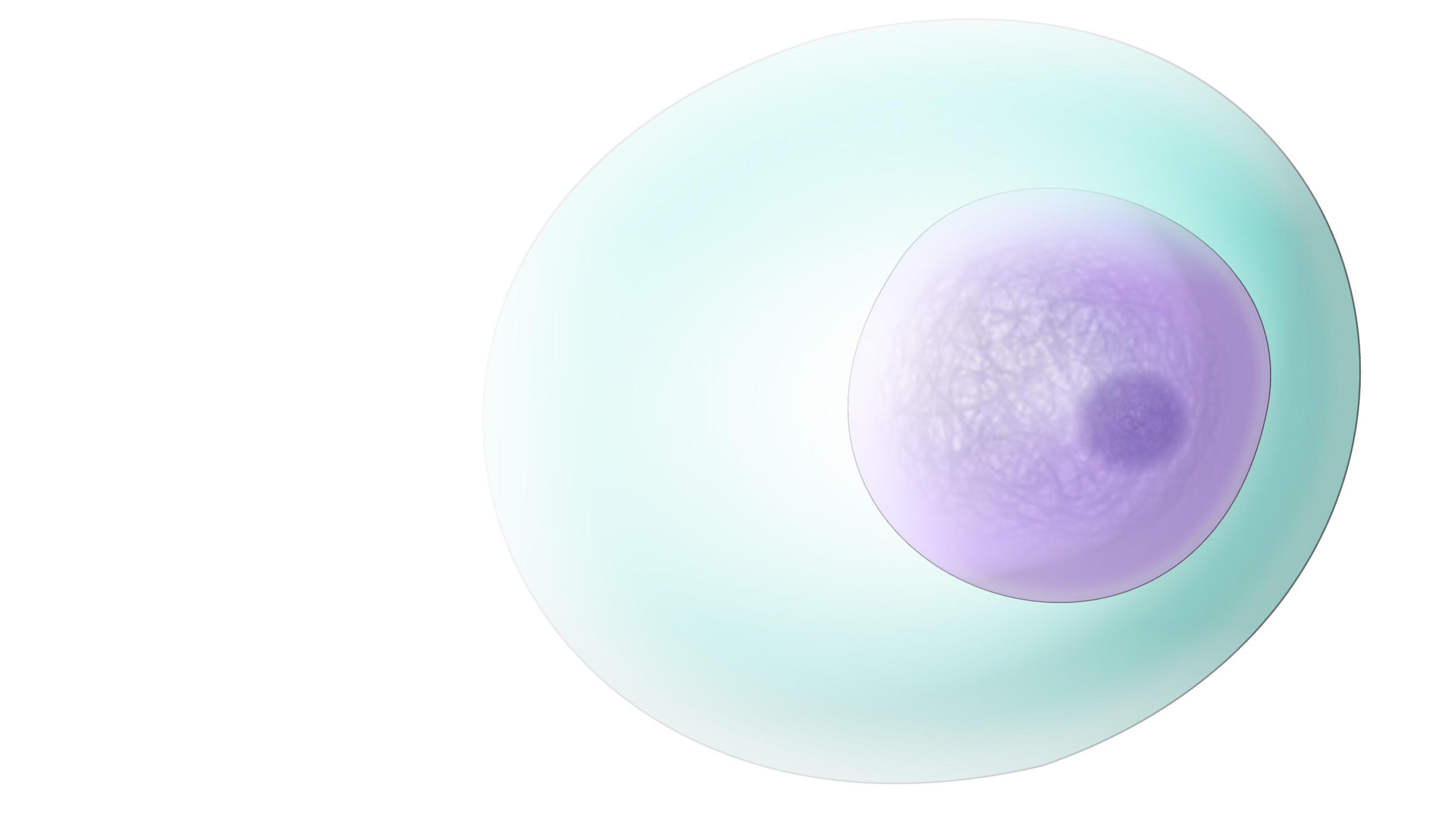 Generic Cell Nucleus