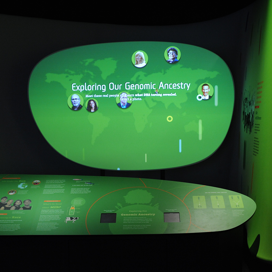 Exploring our Genetic Ancestry at the Smithsonian Exhibition of Genome: Unlocking Life's Code