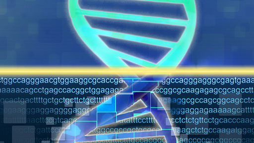 DNA Sequencing and double helix