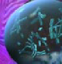 cell nucleus