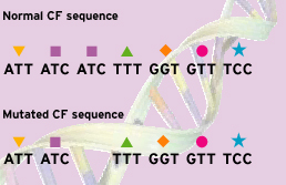 Mutation Diagram