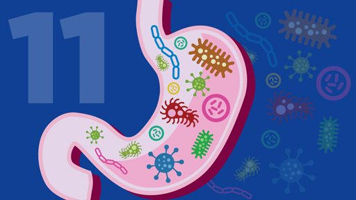 ​15 for 15: Microbes and Microbiomes | NHGRI