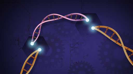 ​How Does Genome Editing Work? | NHGRI