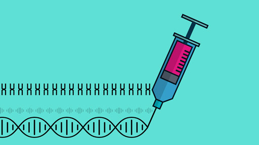 ​​How is Genome Editing Used?​ | NHGRI
