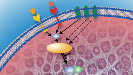 Metabolism Infection Immunity (MINI) Study | NHGRI