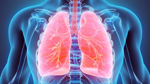 About Cystic Fibrosis | NHGRI