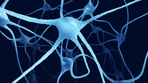 ​About Huntington's Disease | NHGRI