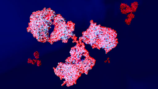 About Severe Combined Immunodeficiency | NHGRI