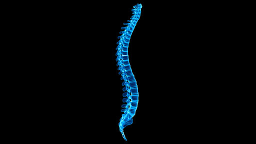 About Spinal Muscular Atrophy | NHGRI