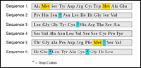 Click to view enlarged image of Figure 5: Regions of DNA sequence that might be part of genes.