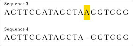 Sequences 3 and 4