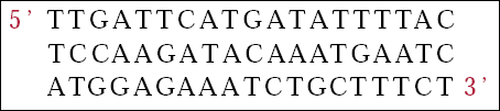 Query Sequence