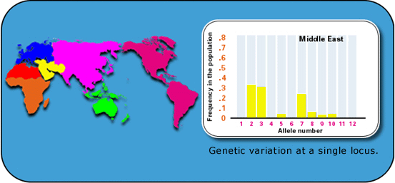 Picture of Figure 3: Middle East