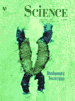 Science Magazine Cover