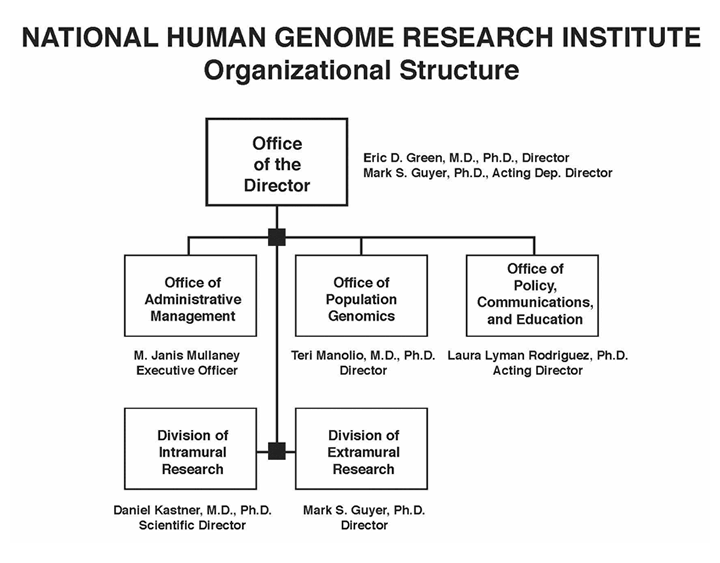 NHGRI Organizational Structure Chart.  The chart shows 6 boxes, the Office of the Director box at the top with 5 boxes underneath - one for the Office of Administrative Management (OAM), one for the Office of Population Genomics (OPG), one for the Office of Policy, Communications, and Education (OPCE), one for the Division of Intramural Research (DIR), and one for the Division of Extramural Research (DER).  The Director is Eric D. Green, M.D., Ph.D..  Acting Deputy Director is Mark S. Guyer, Ph.D.  The Director's 5 reports are: M. Janis Mullaney, Executive Officer; Teri Manolio, M.D., Ph.D., Director of OPG, Laura Lyman Rodriguez, Ph.D., Acting Director of OPCE; Daniel Kastner, M.D., Ph.D., Scientific Director for NHGRI; and Mark S. Guyer, Director of the Division of Extramural Research.