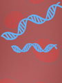 DNA double helix in blood