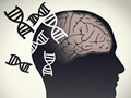 Illustrated human head with DNA helices