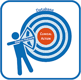 Blue and white stick figure labeled genetic variants aiming a bow and arrow at clinical action database