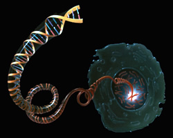 Single cell and a DNA helix coming out of it