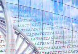 DNA helix and data flow